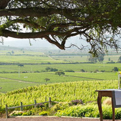 1 Casas del Bosque Winery