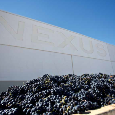 Nexus