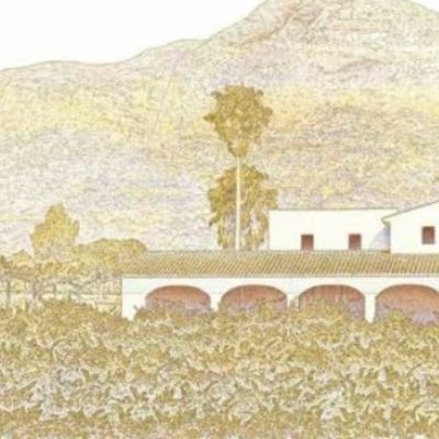 Vino castadiva pricipedesalinas rojoynegro bodegas gutierrezdelavega comercial tabarca distribucion de bebidas y alimentacion alicante bodega