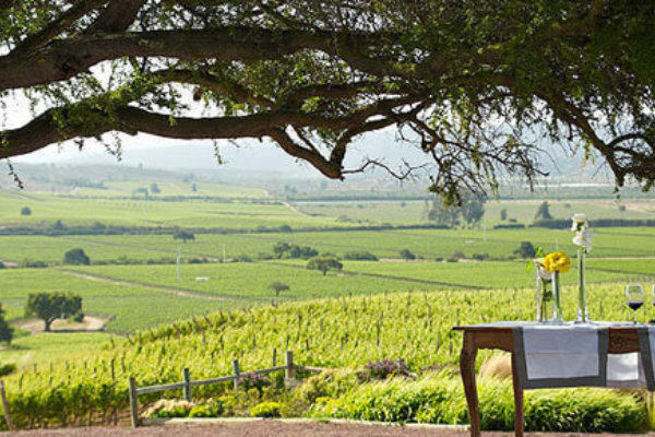 1 Casas del Bosque Winery