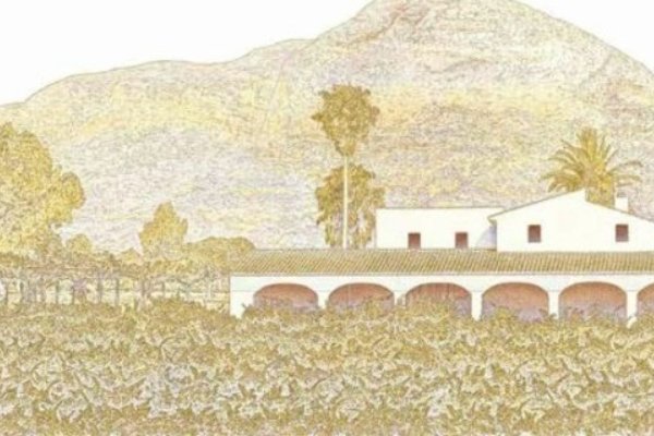 Vino castadiva pricipedesalinas rojoynegro bodegas gutierrezdelavega comercial tabarca distribucion de bebidas y alimentacion alicante bodega